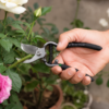 TIJERA FLORICULTURA