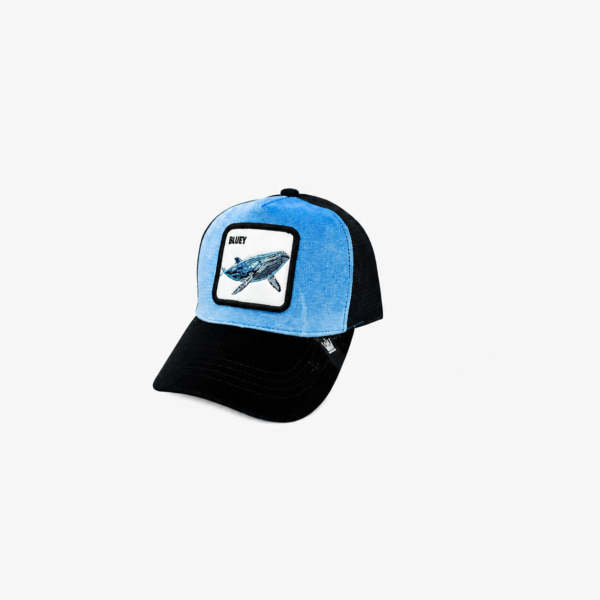 ChatGPT Image 30 jul 2026, 12_16_39 p.m. (4) GORRA ANIMALES